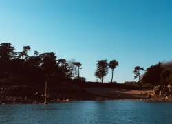 Bréhat
