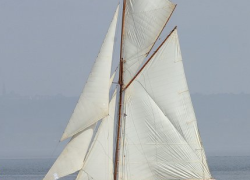 46